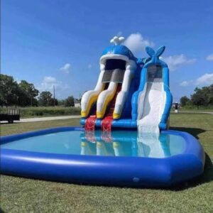 Blue Whale Waterslide (19T 15W 29L)
