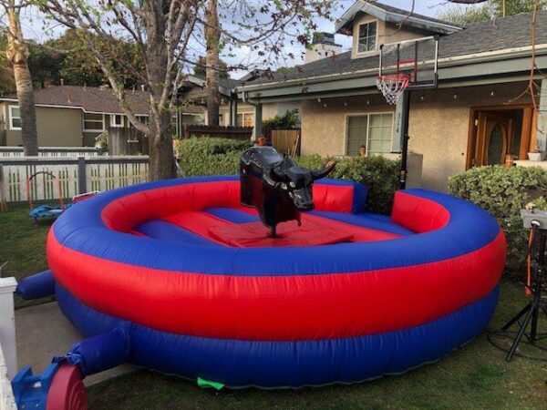 Mechanical Bull Bouncer